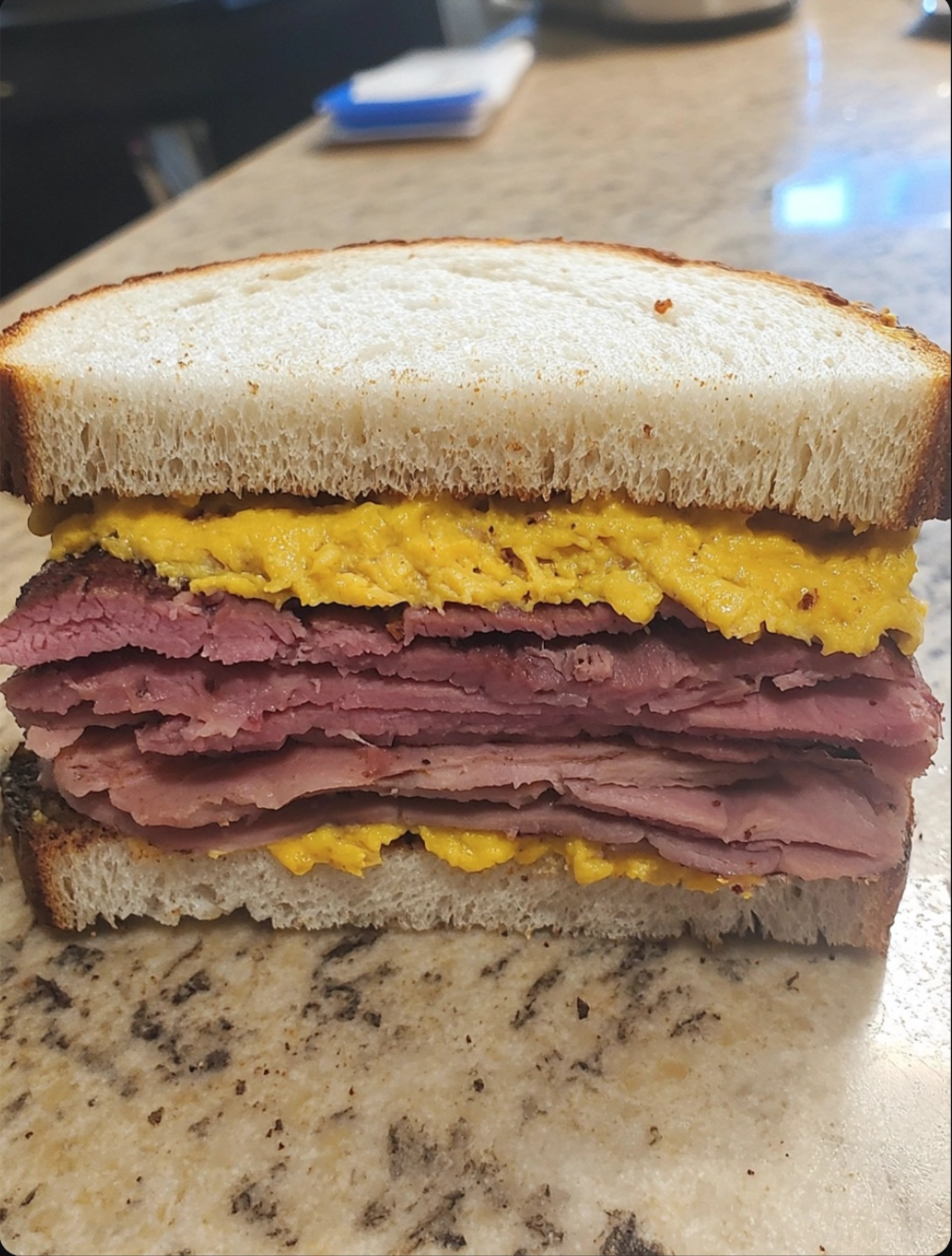 Smoked Meat Sandwich π₯ͺπ