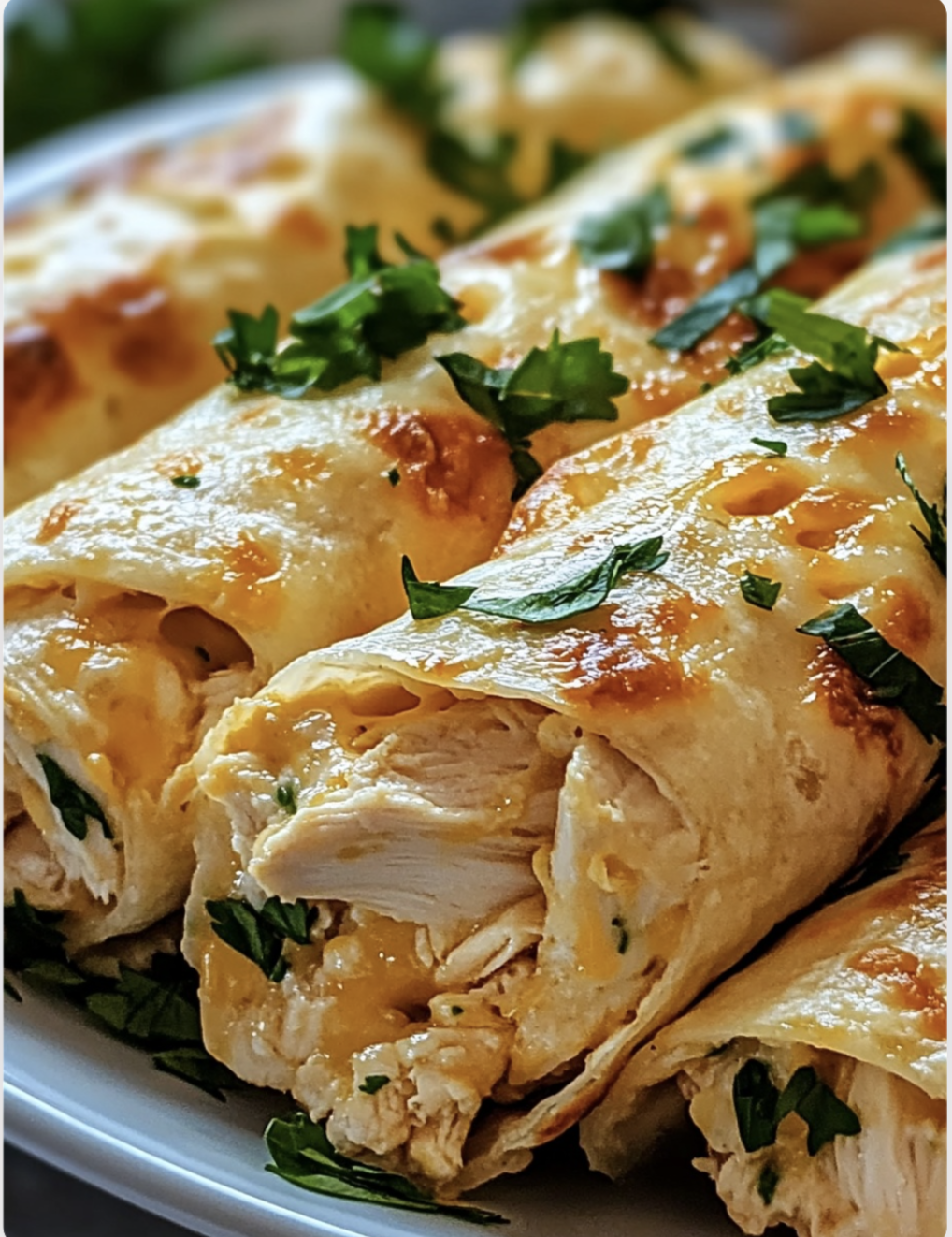 Cheesy Garlic Chicken Wrap