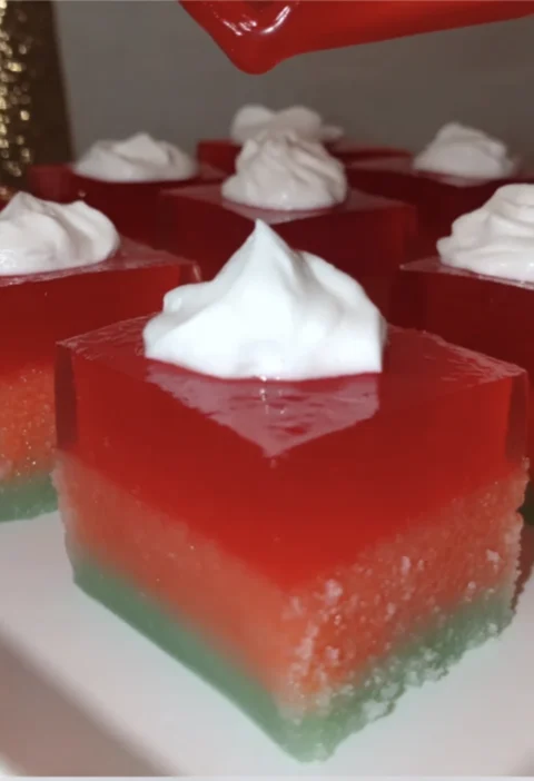 Green Red Christmas Jelly Slice
