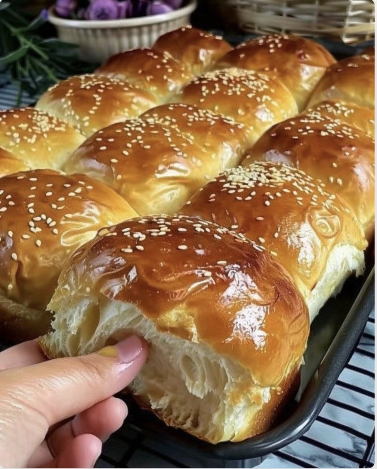 MILK BRIOCHE ROLLS