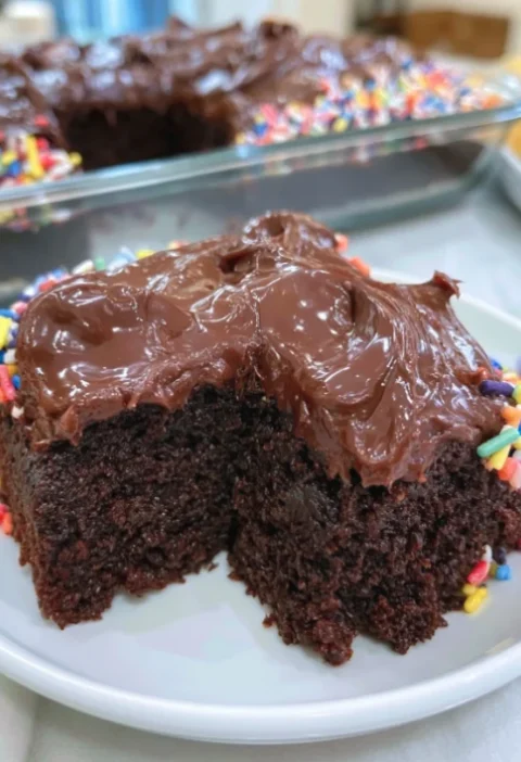 Chocolate Sheet Cake