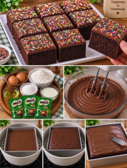 Moist Milo Chocolate Cake