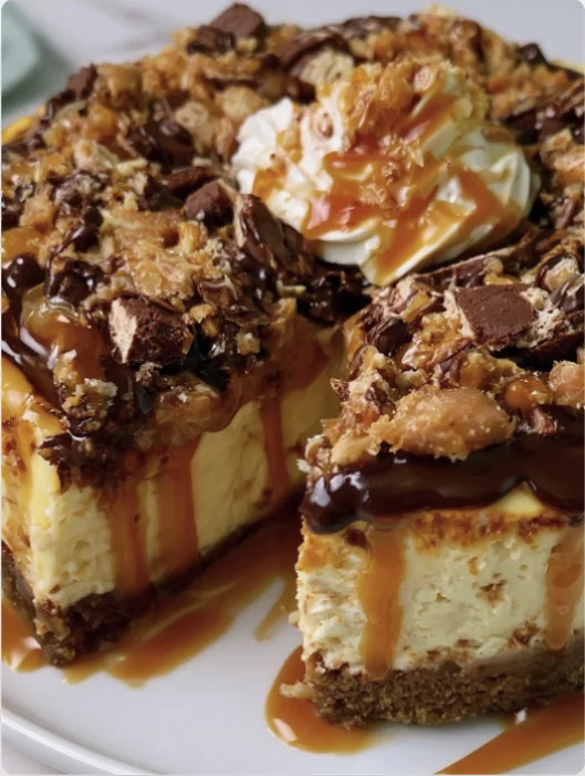 Samoa Cheesecake